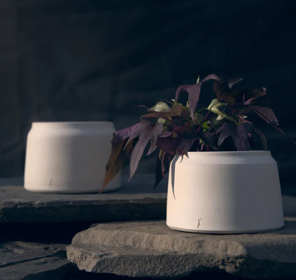 Ivory Planter