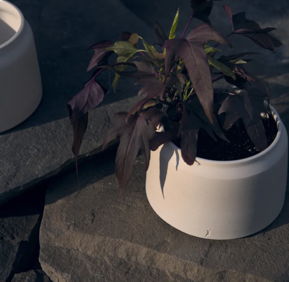 Ivory Planter